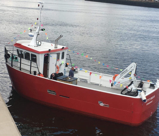 Ship building is back!